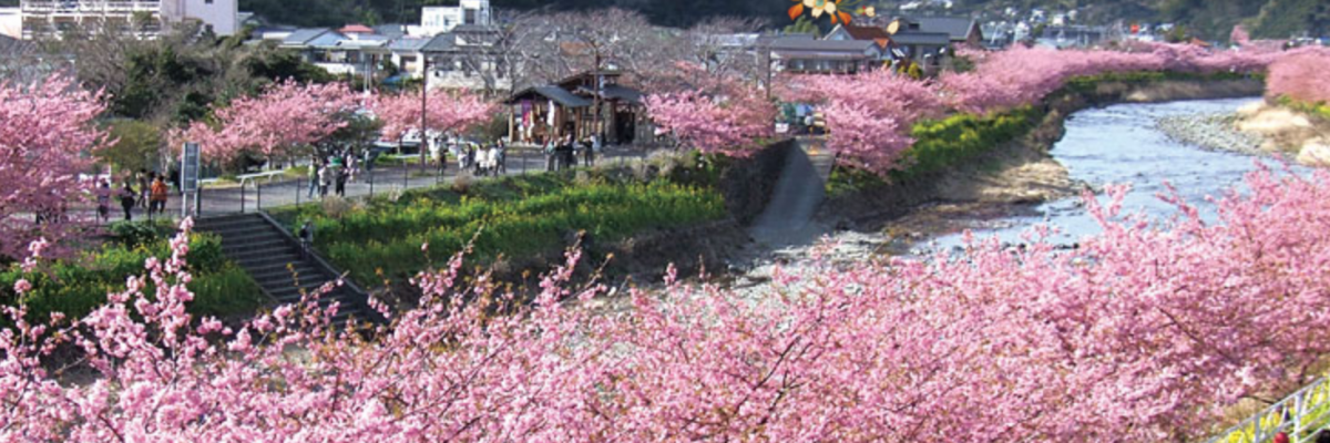 kawazu japan kawazu japan